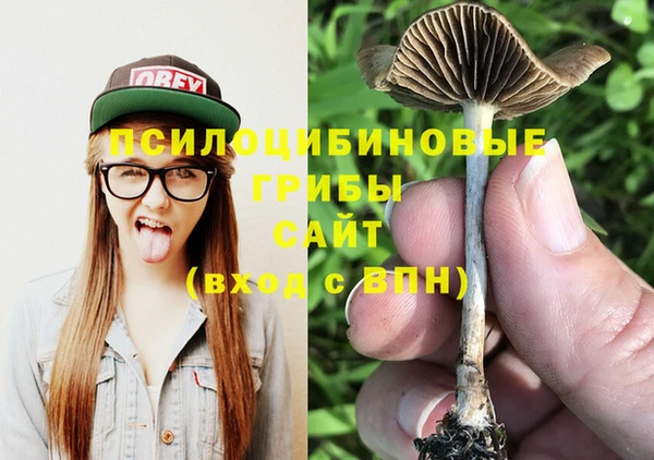 дживик Гусев