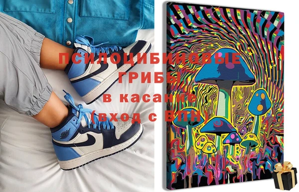 а пвп мука Гусь-Хрустальный