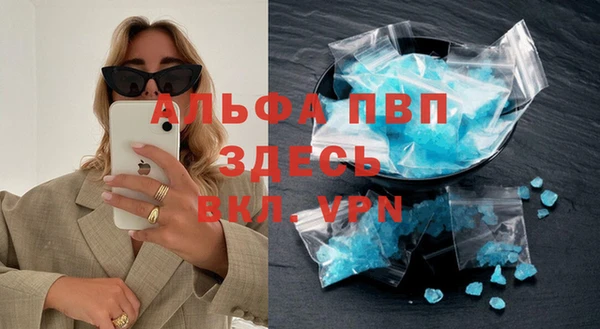 дживик Гусев