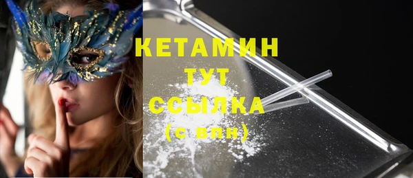 гидропоника Гусиноозёрск